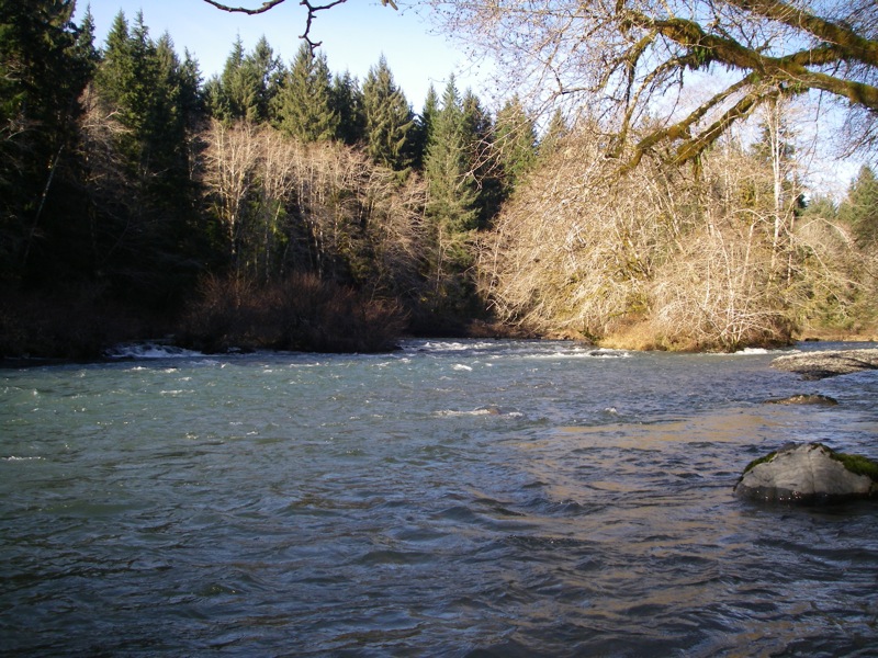 Sol Duc River on a sunny day