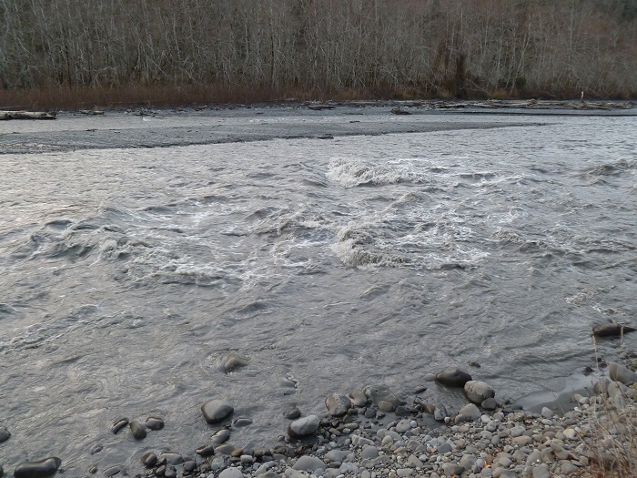Elwha River transporting trapped sediment