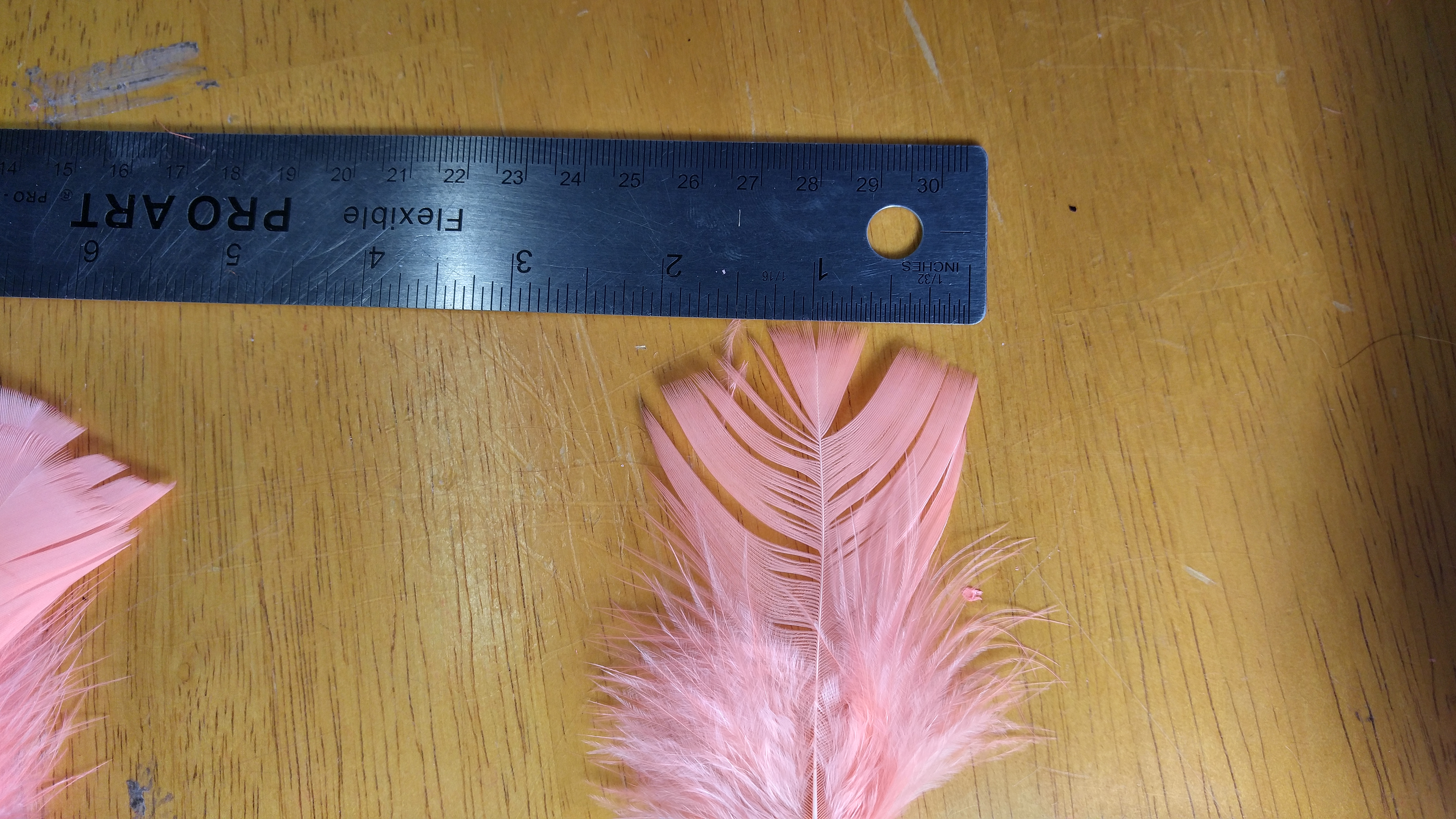 1inch to 1.5 inch fiber lengths measuring from tip of fiber to stem.