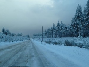 Icy road home