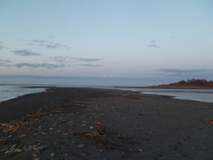 Mouth of the Elwha River